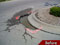 Cracked pavement